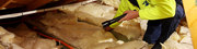 Looking for Pest Control Service in Shepparton - Economic Pest Control