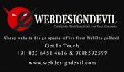 Customized Website Designing $8 Per Page