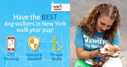 Dog gps tracking