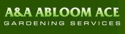 Tree Lopping Services Across North Shore