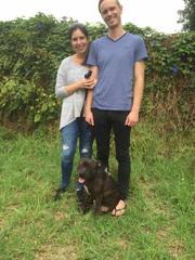 Best and Affordable Dog Training in Perth
