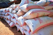 SALE GIROFLE,  VANILLA,  DRY BEANS OF MADAGASCAR 