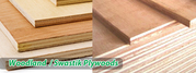 Plywood Suppliers in Chennai