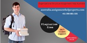 Organizational Structure Assignment Help Australia