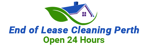 Professional Cleaning Services in Perth