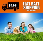 Top quality bark collar,  electric training collar at eDog Australia