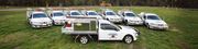 Pest Control Services in Wodonga - Economic Pest Control