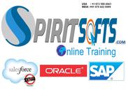 SAP S4 HANA Simple finance online training