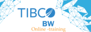 Best Tibco Online Training & Real Time Support From Hyderabad India