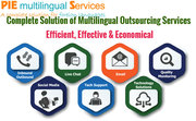 Video Subtitling Experts