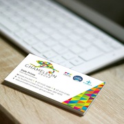 Matt Cello-glaze Business Cards - Chameleon Print Group