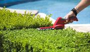 Lawn care and mowing | garden landscaping meadow springs Mandurah