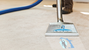 Carpet Cleaning Service – To Clean Your Carpet Dust Free
