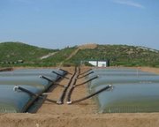 Long Range Fuel Bladder