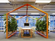 Hire the Best Quality Indoor Plants Providers In Melbourne - Inscape