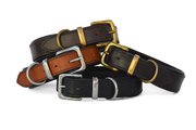 Find Wide & Heavy Duty Dog Collars in Australia