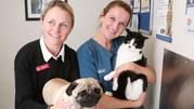Visit Turramurra Vet - Full Range Pet Service Provider