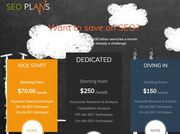 Free Website SEO Analysis