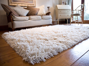 Need your Rug Cleaned by 's Top Rug Cleaning Company in Brisbane?