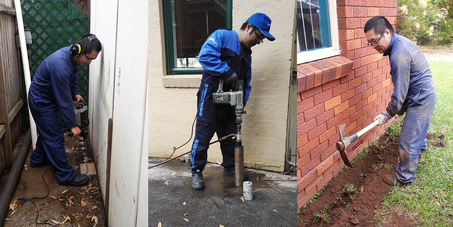 Pest Control Service in Eastwood, Ryde & Sydney - Leading Pest Control