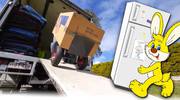 Peter Rabbit Removals - Best Furniture Removalists In Brisbane
