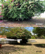 Perth Garden Maintenance and Cleaning Services