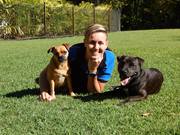 Kat's 4 Dogs