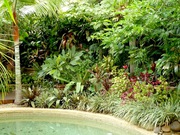 Commercial Gardeners Cairns