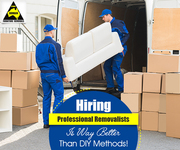 Make Movement Affordable With Sydney Domain Furniture Removals 