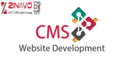CMS Website Development Company