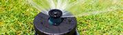 The First Frush Proof Sprinkler