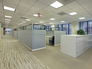 Commercial carpet cleaning services for a clean and sanitised carpet