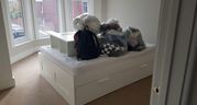 Professional Cleaning Services in NSW-Home Cleaning Services in NSW
