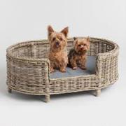 Best Pet Store That Sells online accessories In Australia