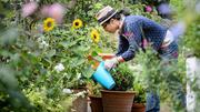 Garden Care Services Canberra