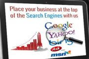 Primary or initial website promotion services