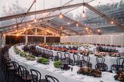 Elegant Chair Events