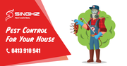 Guarantee Pest Control Services in Brisbane