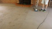 Steam Carpet Cleaning in Brisbane | 0432 333 464