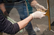 100% Bond Back Guarantee with Move Out Cleaning in Perth