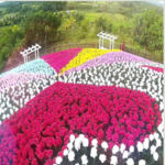 Flower Delivery Philippines