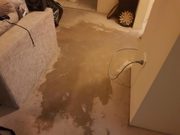 Carpet Water Damage