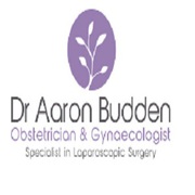 Dr Aaron Budden Specialist Obstetrician and Gynaecologist