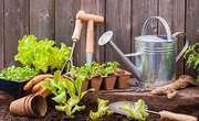 Mowing and Gardening