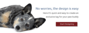 Pet Tags International