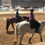 Horse Riding Lessons Brisbane