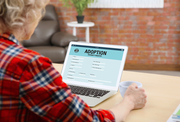 NAATI Certified Adoption Certificate Translations