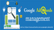 adwords campaign magement| adwords magement agency