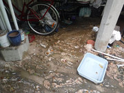 Moisturecontrol.com.au:Mould Removal Brisbane