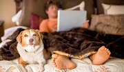 Fast Cash Loans - Moneyspot